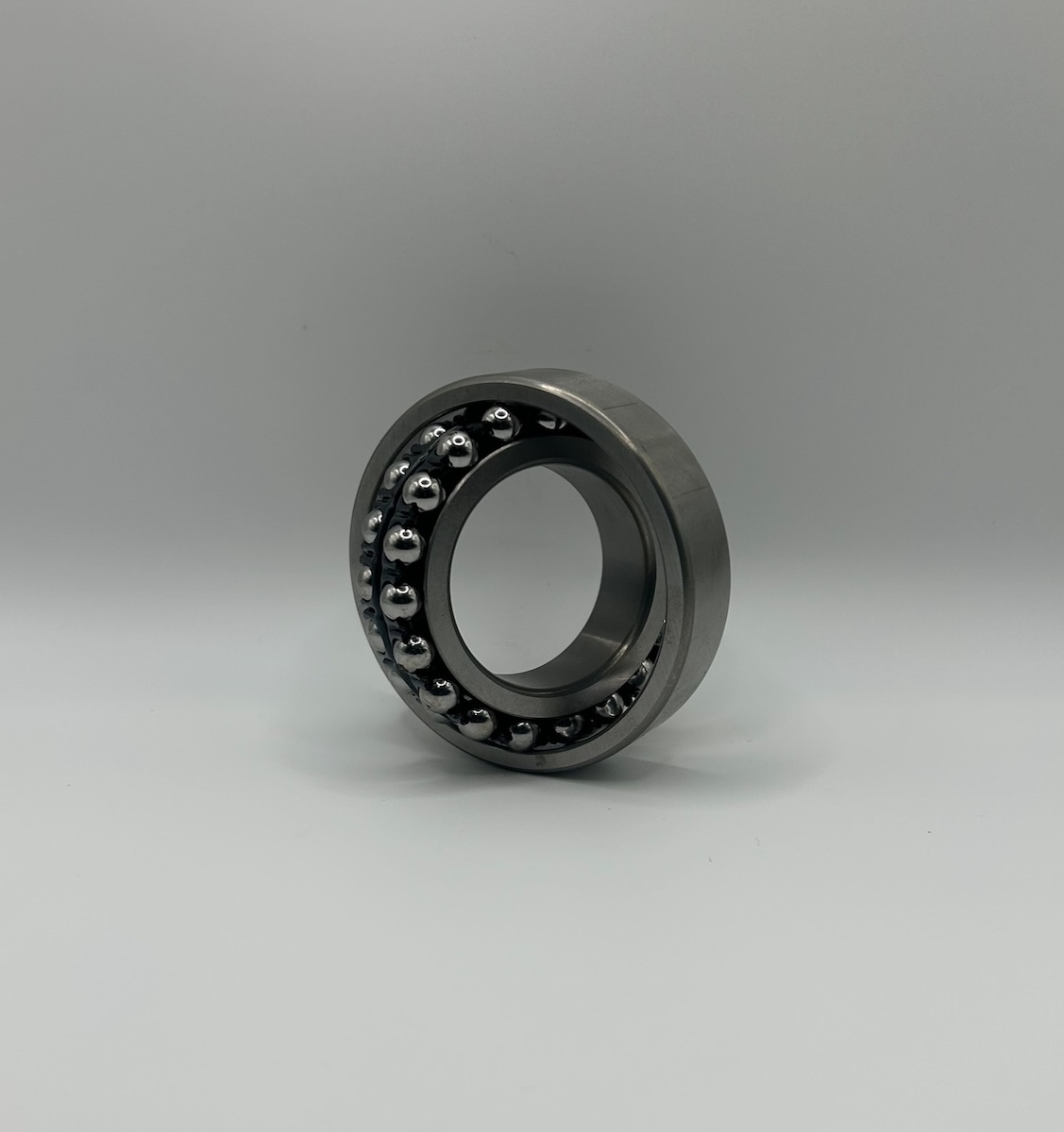 1206 Self Aligning Ball Bearing